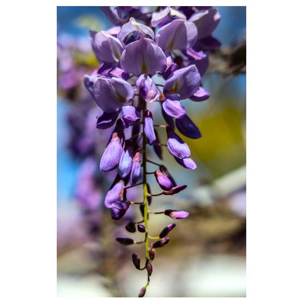 PHOTO84, CLUB, 84 , LUBERON